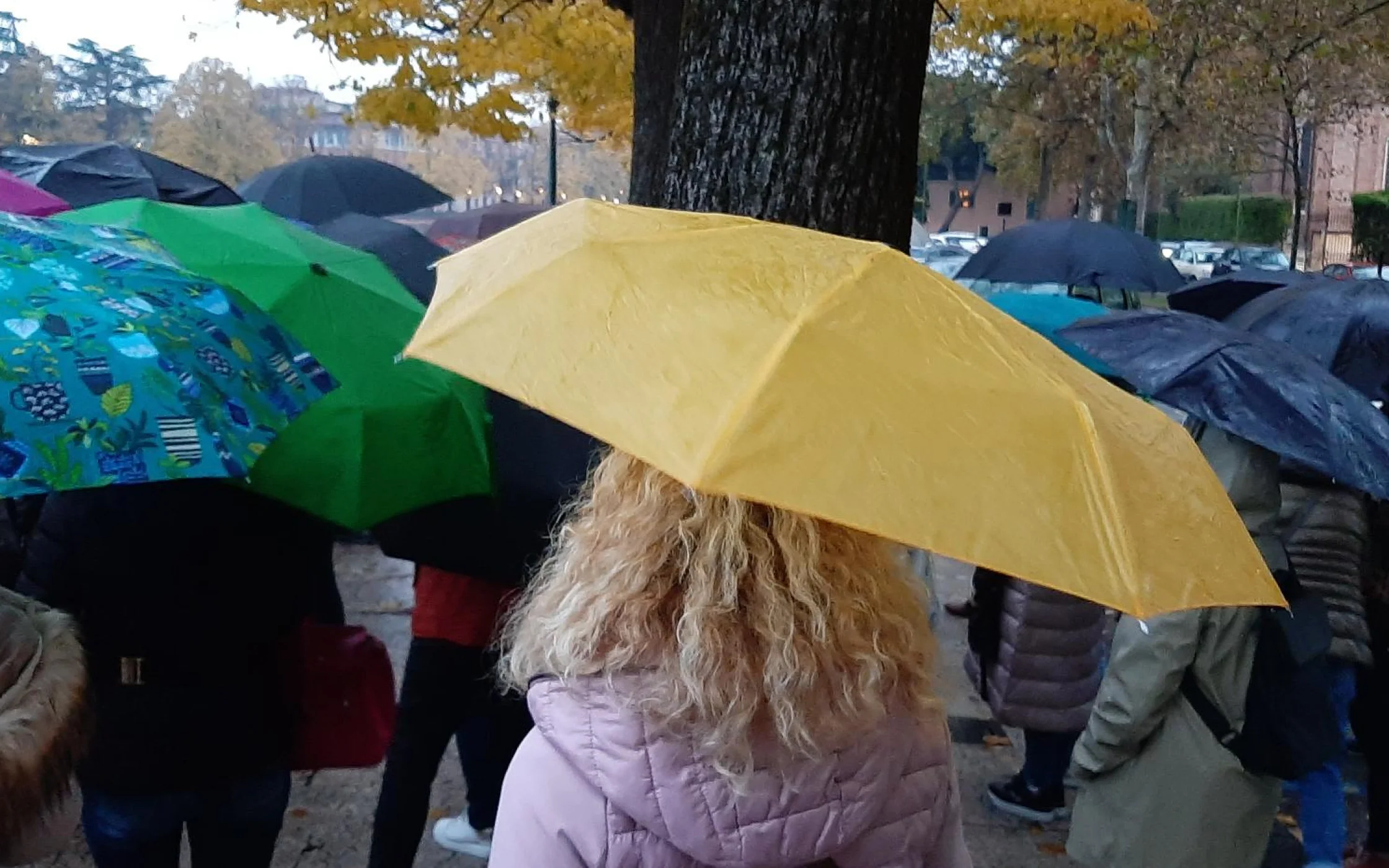 20221115_Lehrfahrt nach VeronaSBO 16.jpg